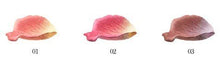 Load image into Gallery viewer, Les Merveilleuses De Laduree Face Color Rose Laduree 01 with Pot
