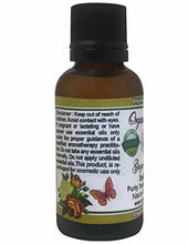 Load image into Gallery viewer, 1 oz Ginger Essential oil Zingiber officinalis 100% Pure Organic Natural Therapeutic Grade A Steamed Distilled
