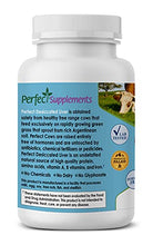 Load image into Gallery viewer, Perfect Perfect Desiccated Liver - 120 Capsules (Pack of 2)
