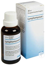 Load image into Gallery viewer, Lymphomyosot 30ml - Chronic Tonsillar Hypertrophy Tonsillitis
