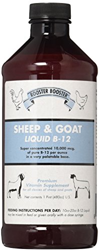 Rooster Booster B-12 Sheep and Goat Liquid, 16-Ounce