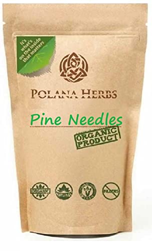 Pine Needle Tea Organic Loose Leaf (Pinus sylvestris) Help with respiratory problems, high in vitamin C and A, rich in antioxidants (100g - 50 servings)