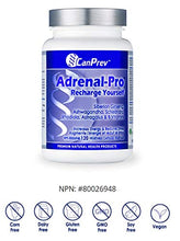 Load image into Gallery viewer, CanPrev Adrenal-Pro Recharge Yourself Vegi Capsules, 120 Count
