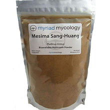 Load image into Gallery viewer, Mesima Mushroom (Sang Huang) Powder 1 lb
