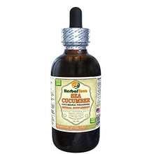 Load image into Gallery viewer, Sea Cucumber (Cucumaria Frondosa) Tincture, Dried Sea Cucumber Liquid Extract (Brand Name: HerbalTerra, Proudly Made in USA) 4 fl.oz (120 ml)
