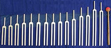 Load image into Gallery viewer, BioTune Human Organ Tuning Fork Set for Healing with Free Rubber Mallet &amp; Pouch
