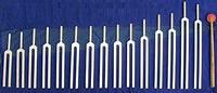 BioTune Human Organ Tuning Fork Set for Healing with Free Rubber Mallet & Pouch