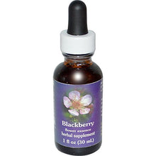 Load image into Gallery viewer, Flower Essence Services Fes Quintessentials Blackberry Supplement Dropper, 1 Ounce
