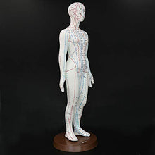 Load image into Gallery viewer, Acupuncture Model 48cm Female with Base Human Acupuncture meridians Model Acupuncture Starter Kit
