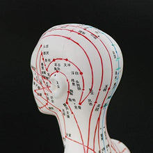 Load image into Gallery viewer, Acupuncture Model 48cm Female with Base Human Acupuncture meridians Model Acupuncture Starter Kit
