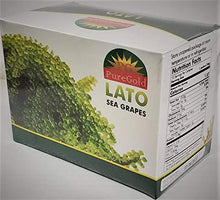 Load image into Gallery viewer, Puregold Lato Sea Grapes in Box - Ararosep ( 7 Boxes / 70 Packs)
