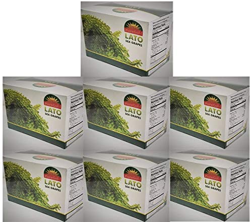 Puregold Lato Sea Grapes in Box - Ararosep ( 7 Boxes / 70 Packs)