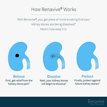 Load image into Gallery viewer, Renavive - Natural Kidney Cleanse | Eliminate &amp; Protect Against Kidney Stones | Flush Impurities &amp; Clear System | Support Kidney Health &amp; Function | Chanca Piedra, Celery Seed &amp; More | 60 Capsules

