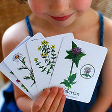 Load image into Gallery viewer, Family Board Game  Wildcraft! an Herbal Adventure Game for Kids Ages 4-8 and Up  a Fun, Cooperative &amp; Educational Board Game That Teaches 25 Medicinal Plants and Problem Solving Skills!
