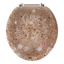 Load image into Gallery viewer, Ginsey Home Solutions Standard Resin Chrome Hinges Toilet Seat, Sea Isle
