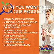 Load image into Gallery viewer, NOW Supplements, Organic Inulin Prebiotic Pure Powder, Low Gylcemic Index, 1-Pound
