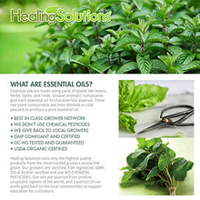 Load image into Gallery viewer, Peppermint Essential Oil - 100% Pure Therapeutic Grade Peppermint Oil - 120ml
