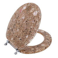 Ginsey Home Solutions Standard Resin Chrome Hinges Toilet Seat, Sea Isle