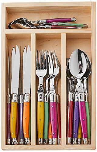 Jean Dubost 24 Piece Everyday Flatware Set with Handles in a Tray, Multicolored