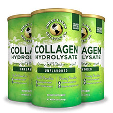 Load image into Gallery viewer, Great Lakes Gelatin, Collagen Hydrolysate, Unflavored Beef, Kosher, 16oz 3-Pack
