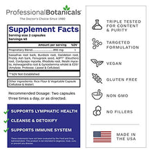 Load image into Gallery viewer, Professional Botanicals - Lymph Detox 500 milligrams 90 Caps
