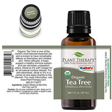 Load image into Gallery viewer, Plant Therapy Organic Tea Tree Oil (Melaleuca) 100% Pure, USDA Certified Organic, Undiluted, Natural Aromatherapy, Therapeutic Grade 30 mL (1 oz)
