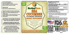 Load image into Gallery viewer, Sea Cucumber (Cucumaria Frondosa) Tincture, Dried Sea Cucumber Liquid Extract (Brand Name: HerbalTerra, Proudly Made in USA) 4 fl.oz (120 ml)
