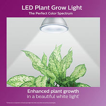 Load image into Gallery viewer, Philips LED 532969 PAR38 Plant Grow Light Bulb: 1200-Lumen, 5000-Kelvin, 16-Watt, E26 Medium Screw Base, 1-Pack, White
