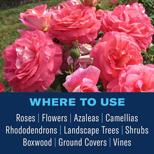 Load image into Gallery viewer, BioAdvanced Disease Control for Roses, Flowers and Shrubs, Concentrate, 32 oz
