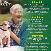 Load image into Gallery viewer, Zazzee Artemisinin, 100 mg per Capsule, 120 Vegan Capsules, 4 Month Supply, Plus 5 mg BioPerine for Enhanced Absorption, Sweet Wormwood Extract, Vegan and Non-GMO
