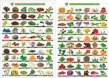 Load image into Gallery viewer, Bitter Gourd Oil (MOMORDICA CHARANTIA) 100% Natural Pure Carrier Oil (15ml with Dropper)
